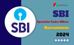 sbi recruitment 2024 65cede52dda06