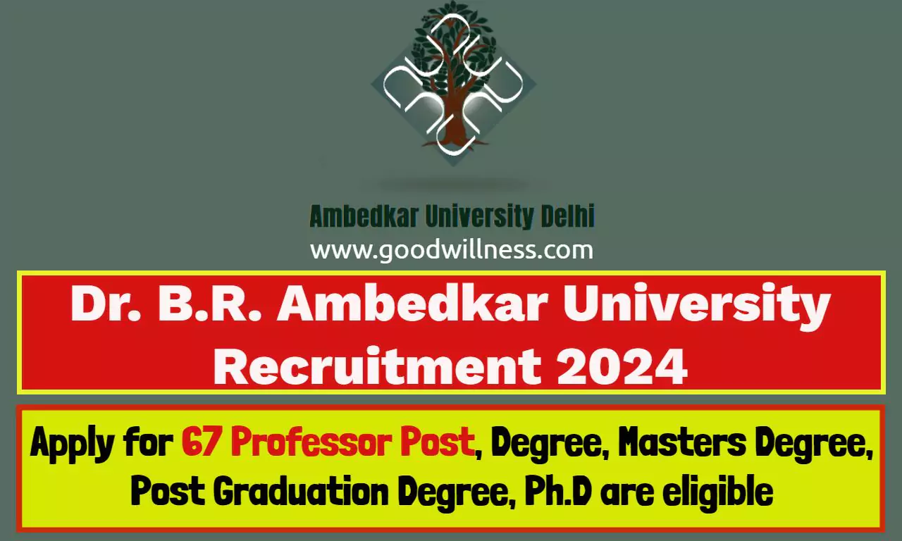 dr ambedkar university teaching 660dcd332f90e