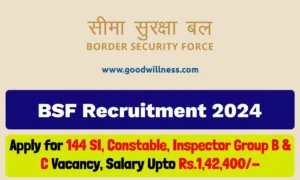 BSF Notification 2024