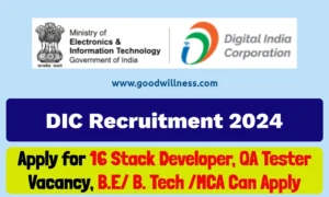 Digital India Corporation Notification 2024