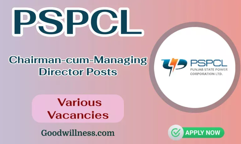 PSPCL Govt Of Punjab Recruitment 2024 | Apply Chairman-cum-Managing Director Vacancy