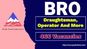 BRO Recruitment 2025