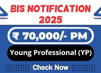 BIS Job Recruitment 2025 | BIS Invites Young Professional (YP) Vacancy, Salary Up to ₹70,000/-
