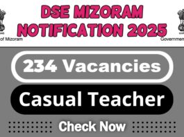 Directorate of Secondary Education Mizoram Job 2025 | DSE Mizoram Invites 234 Casual Teacher Vacancy