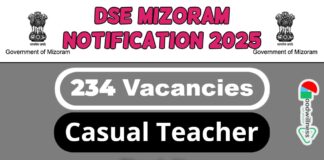 Directorate of Secondary Education Mizoram Job 2025 | DSE Mizoram Invites 234 Casual Teacher Vacancy