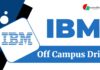 IBM Consultant Off Campus Job 2025