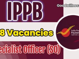 IPPB SO Job Recruitment 2025: Check Short Notice For 68 Specialist Officers Vacancy