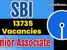SBI Clerk Job Recruitment 2025: Apply Online 13735 Junior Associate Vacancies, Check Notice