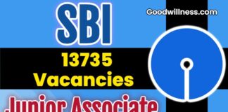 SBI Clerk Job Recruitment 2025: Apply Online 13735 Junior Associate Vacancies, Check Notice