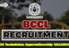 BCCL JOB Recruitment 2025 | BCCL Invites 30 Technician Apprenticeship Vacancy, Apply Now