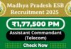 ITBP Job Recruitment 2025 | ITBP Invites 48 Assistant Commandant (Telecom) Vacancy, Apply Now