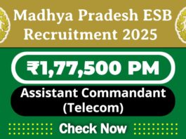 ITBP Job Recruitment 2025 | ITBP Invites 48 Assistant Commandant (Telecom) Vacancy, Apply Now