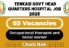 Tenkasi Govt Head Quarters Hospital Job 2025 | Tenkasi DHS Invites Occupational Therapist and Social Worker Post