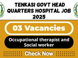 Tenkasi Govt Head Quarters Hospital Job 2025 | Tenkasi DHS Invites Occupational Therapist and Social Worker Post