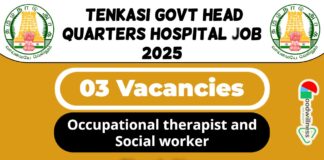 Tenkasi Govt Head Quarters Hospital Job 2025 | Tenkasi DHS Invites Occupational Therapist and Social Worker Post