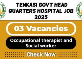 Tenkasi Govt Head Quarters Hospital Job 2025 | Tenkasi DHS Invites Occupational Therapist and Social Worker Post