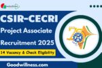 CSIR CECRI Karaikudi Recruitment 2025