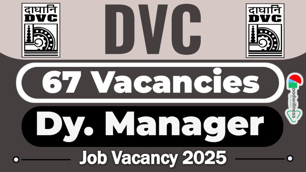 DVC Recruitment 2025