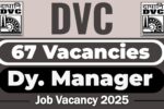DVC Recruitment 2025