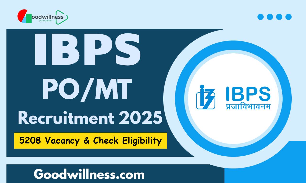 IBPS Management Trainee Recruitment 2025
