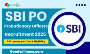 SBI PO Recruitment 2025 1