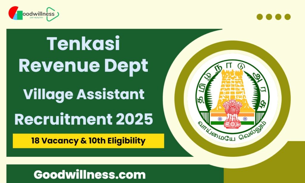 Tenkasi Revenue Department Recruitment 2025
