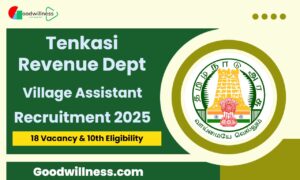 Tenkasi Revenue Department Recruitment 2025