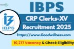 IBPS Clerk Recruitment 2025