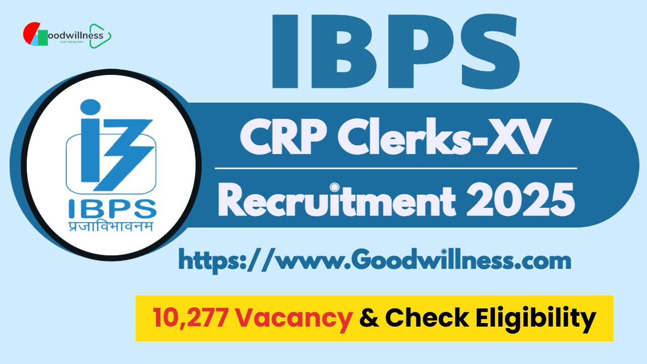 IBPS Clerk Recruitment 2025