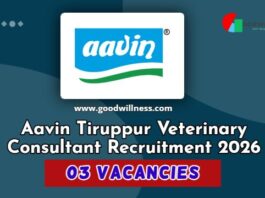 Aavin Tiruppur Veterinary Consultant Recruitment 2026 Aavin Tiruppur Veterinary Consultant Recruitment 2026