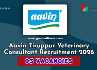 Aavin Tiruppur Veterinary Consultant Recruitment 2026 Aavin Tiruppur Veterinary Consultant Recruitment 2026