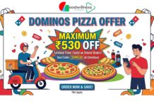 The Dominos Pizza offer Maximum ₹530 off The Dominos Pizza offer Maximum ₹530 off