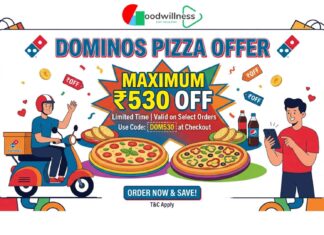 The Dominos Pizza offer Maximum ₹530 off The Dominos Pizza offer Maximum ₹530 off